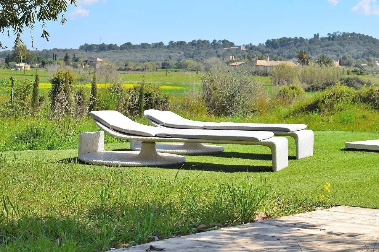 087 Finca Es Camp Pla Vt1828 By Mallorca Charme Sineu