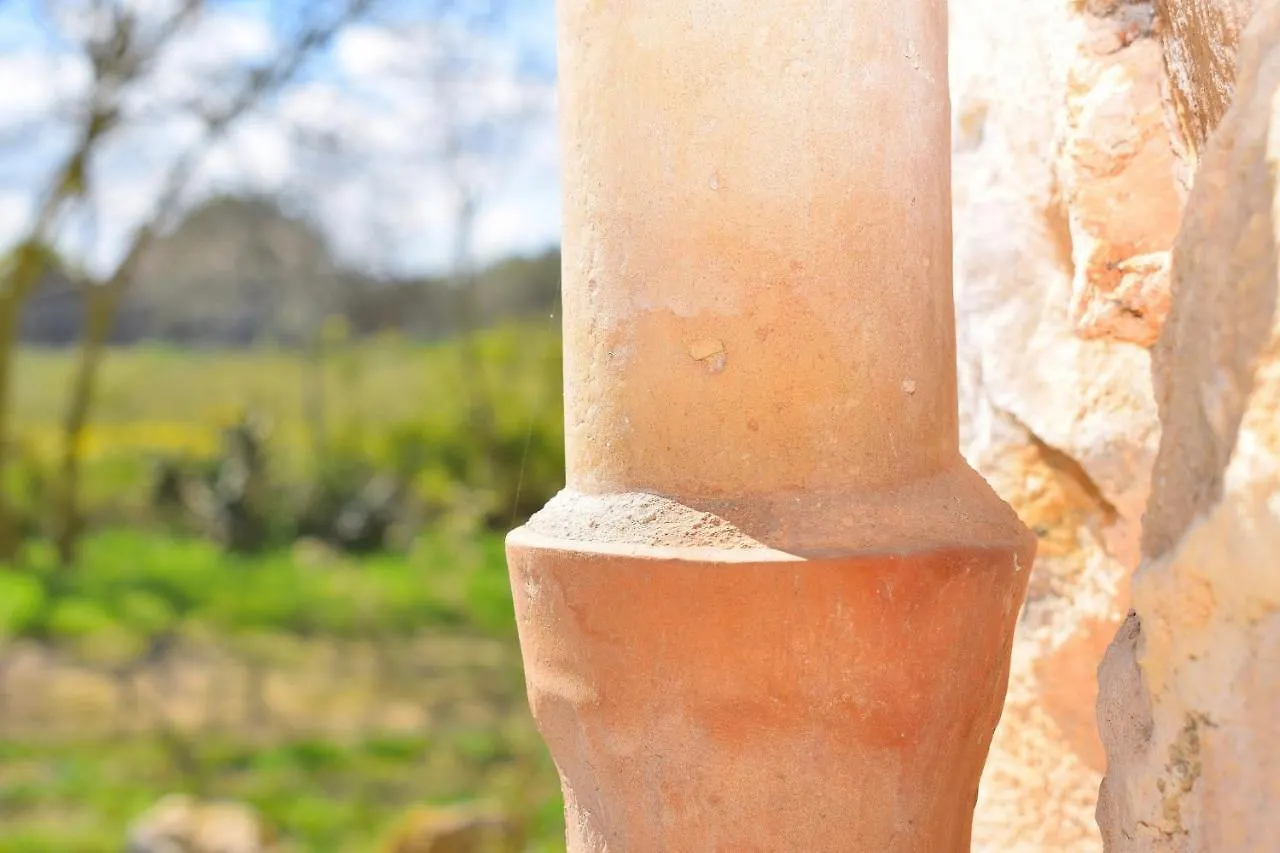 Tatil Evi 087 Finca Es Camp Pla Vt1828 By Mallorca Charme Sineu