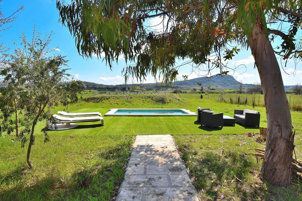 087 Finca Es Camp Pla Vt1828 By Mallorca Charme Sineu  Holiday home